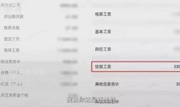 辛巴公司员工爆料视频,揭秘辛巴公司真实面貌